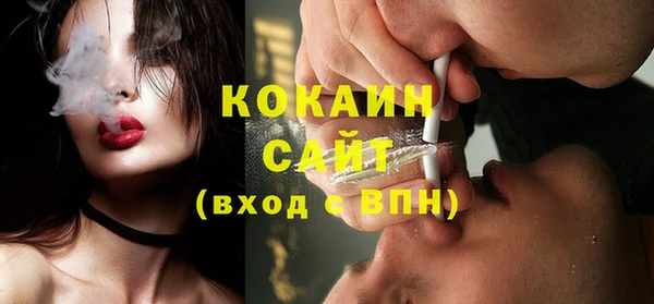 МДПВ Абаза