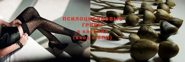 МДПВ Абаза
